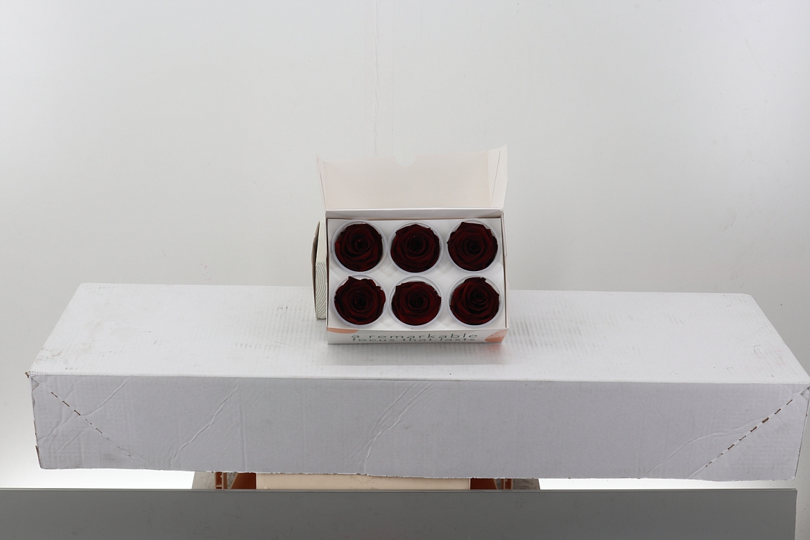 Rosa Preser. Dark Red