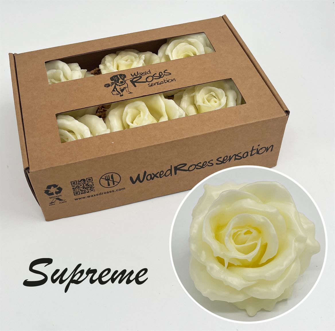 Zijde R Wx Supreme Creme Wx