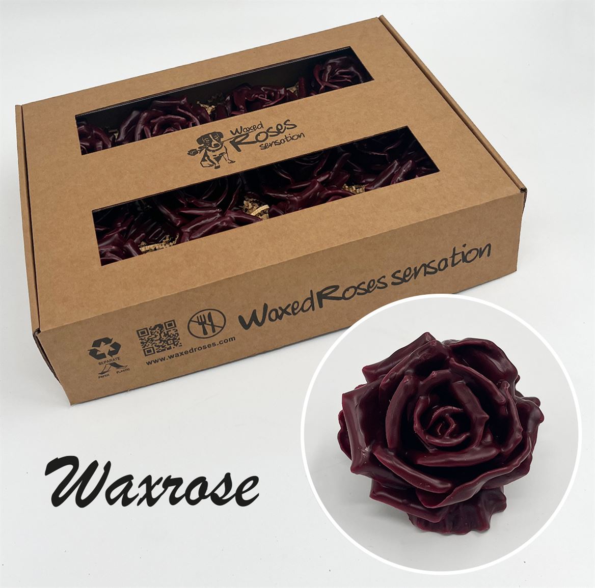 Zijde R Wx Bordeaux