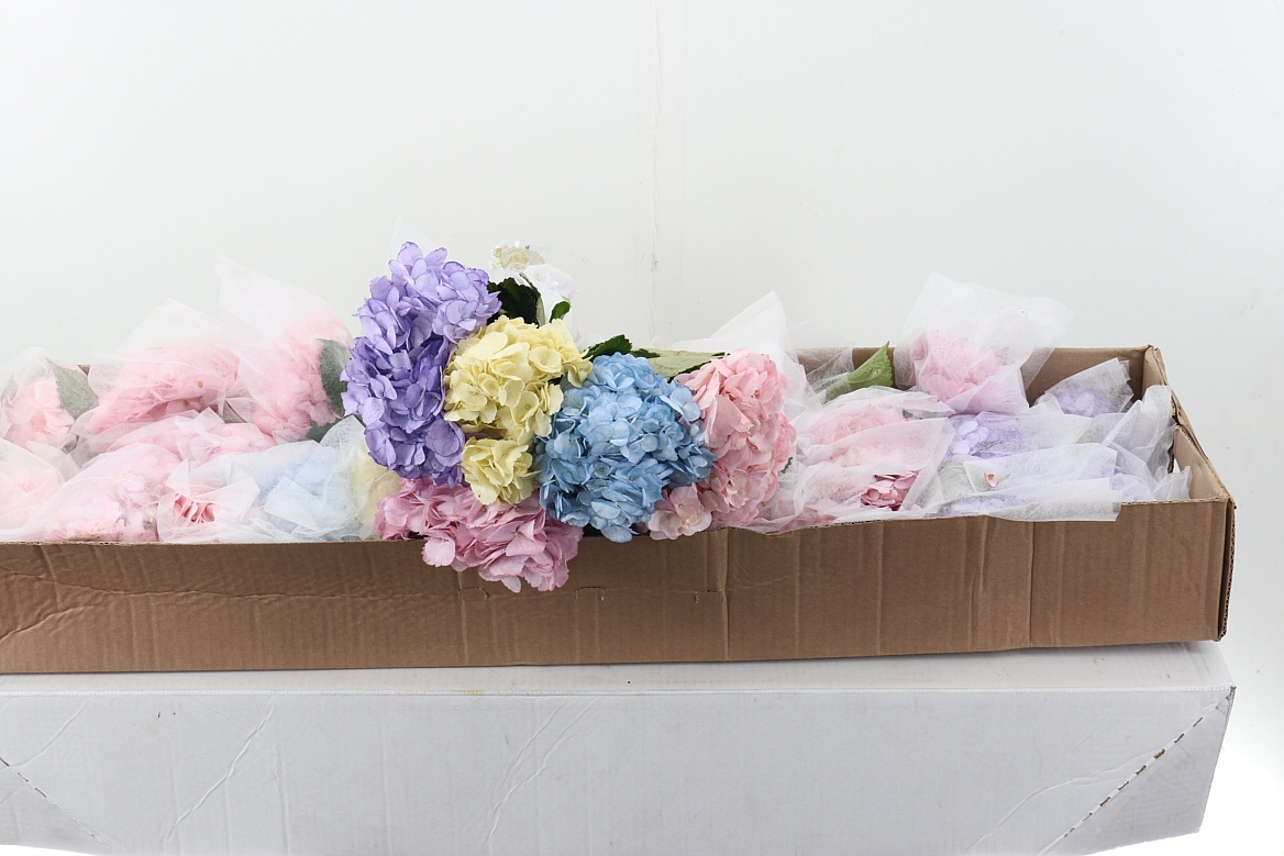 Hydrangea 60cm 15Ø