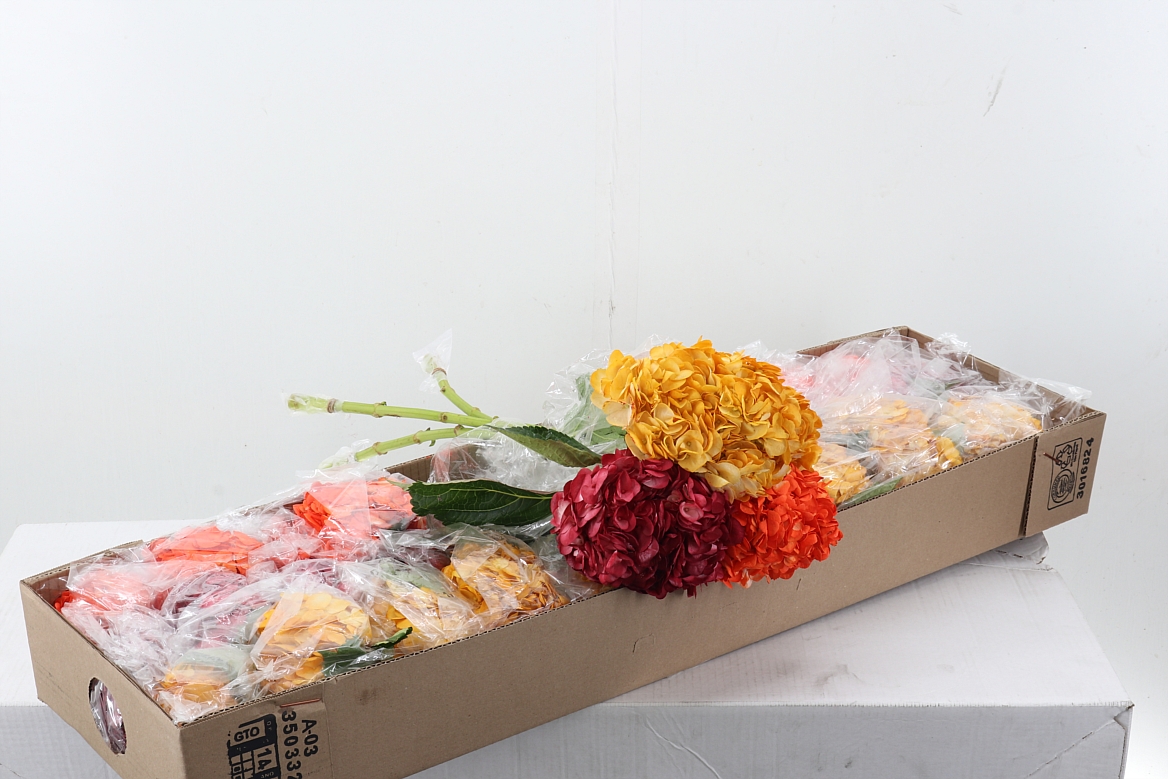 Hydr Autumn Mix Select Box